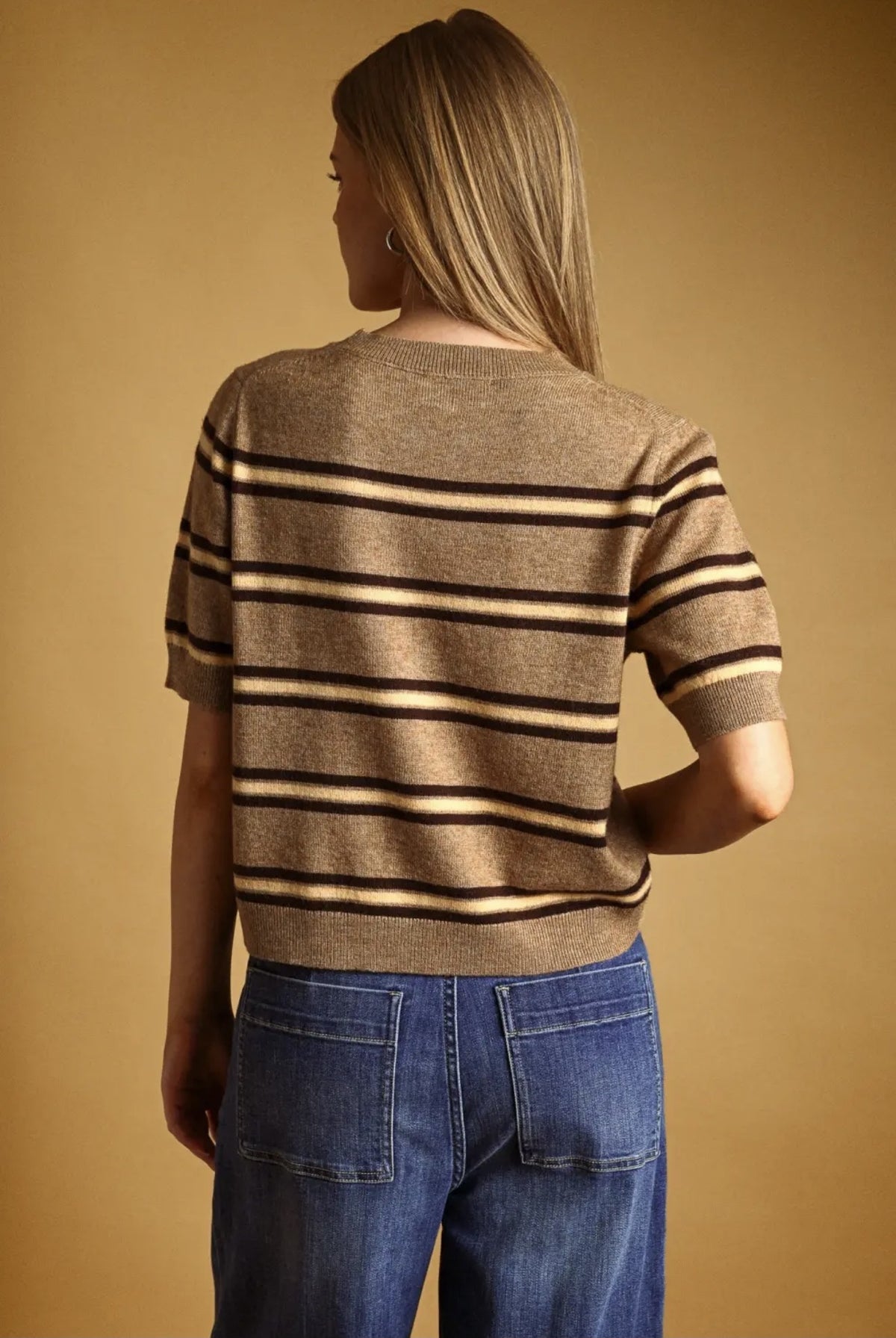 Brown Striped Short Sleeve Knit Top