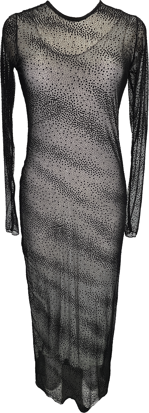 Mesh Dress