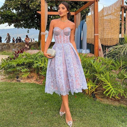 Lace Embroidered Bodycon Dress