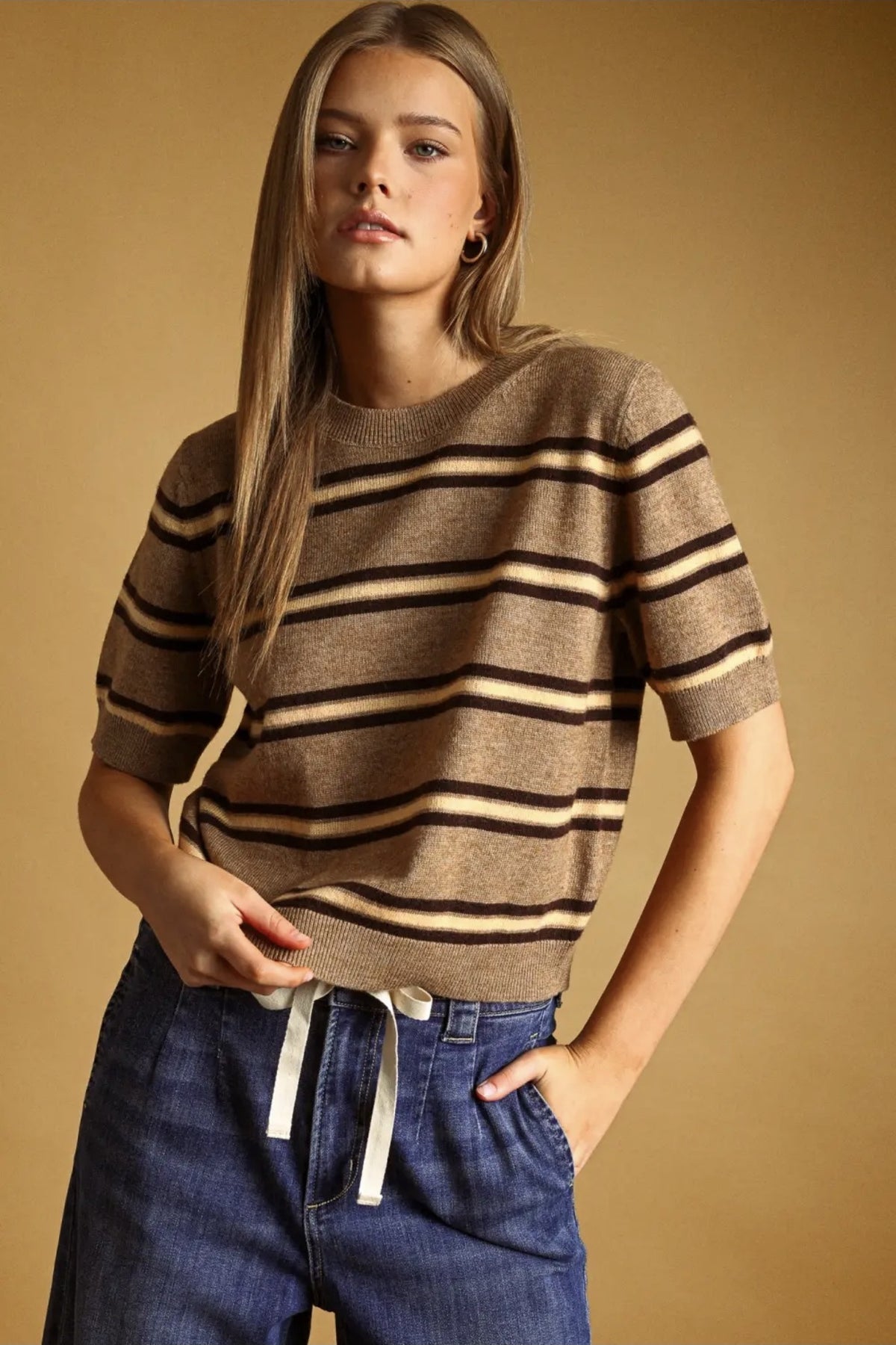 Brown Striped Short Sleeve Knit Top